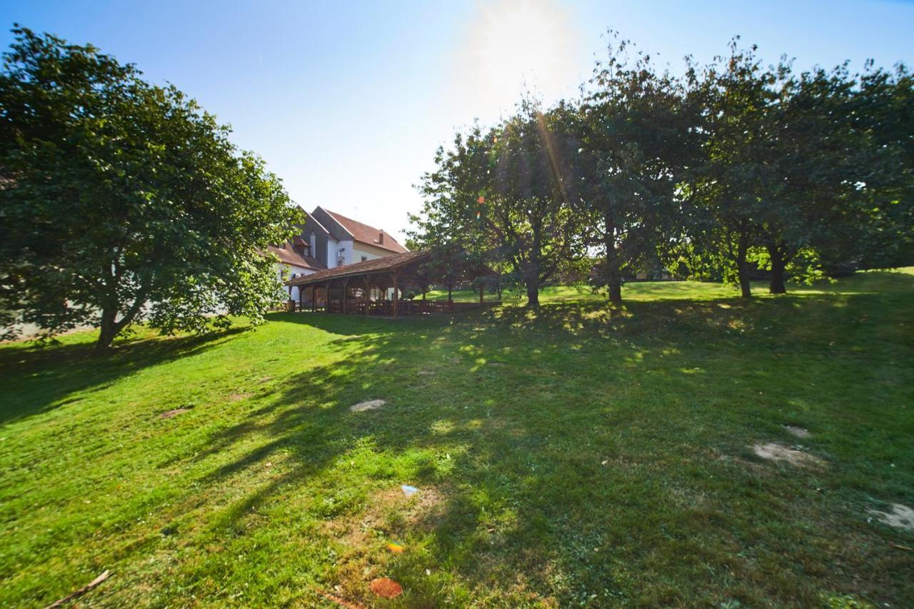 Penzion Zámek Lešany Netvořice Exterior foto