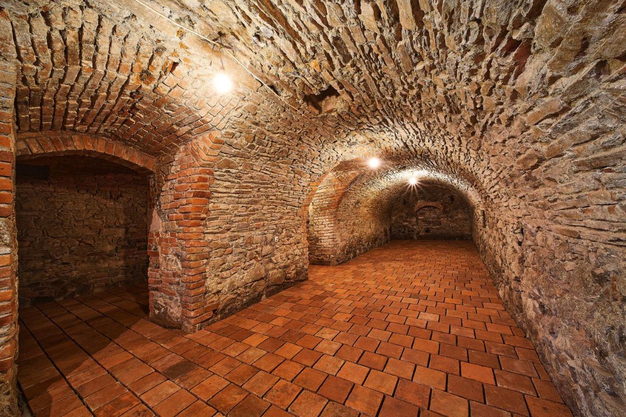 Penzion Zámek Lešany Netvořice Exterior foto