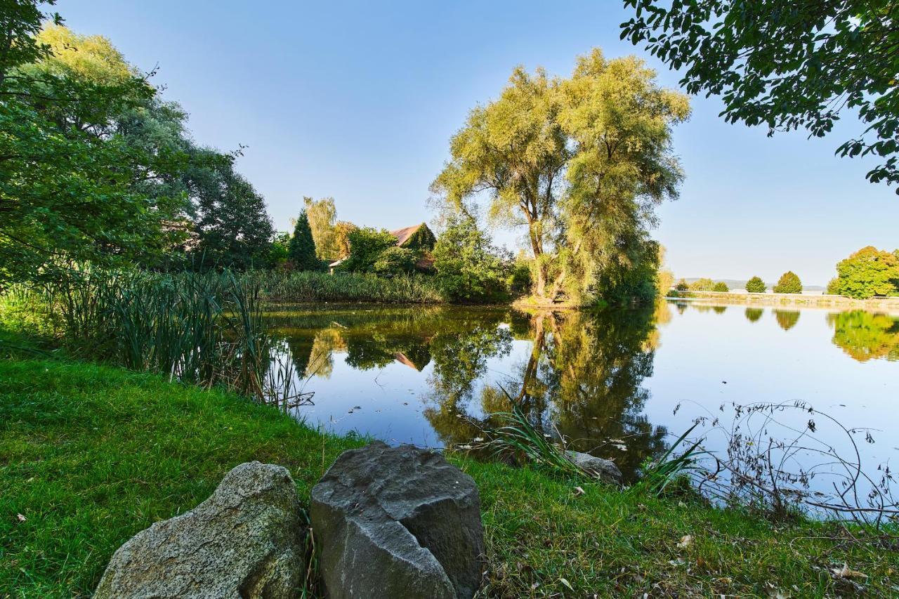 Penzion Zámek Lešany Netvořice Exterior foto