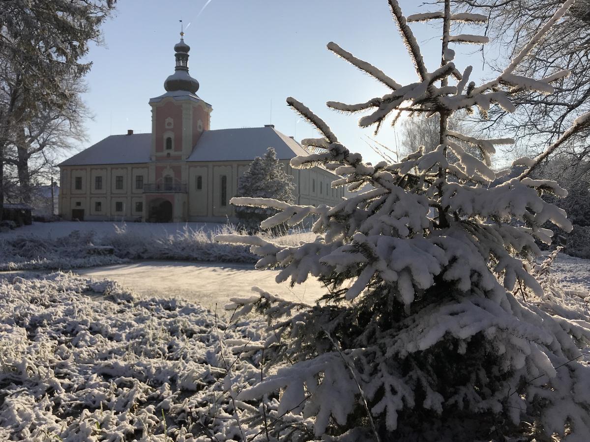 Penzion Zámek Lešany Netvořice Exterior foto